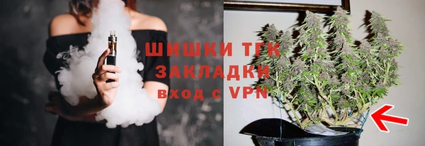 соль ск Абаза