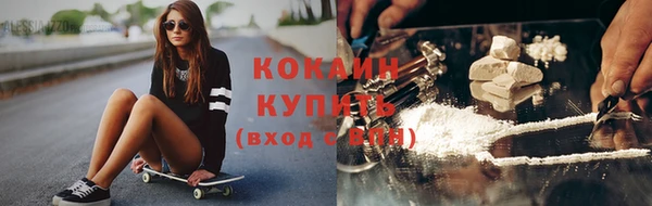 соль ск Абаза