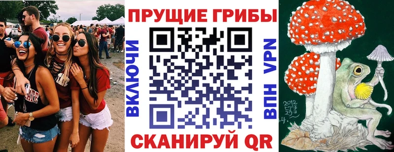 дарнет шоп  Кирсанов  Галлюциногенные грибы GOLDEN TEACHER 